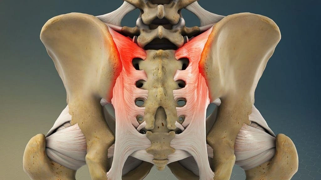 Chiropractic Care Image