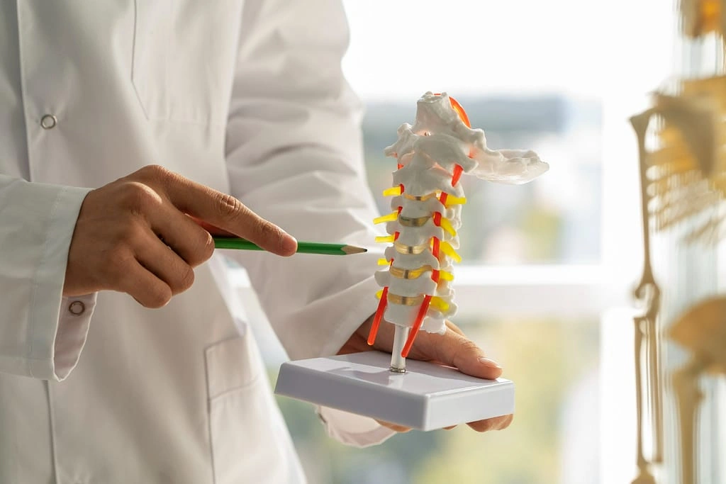 Classifying Spinal Image